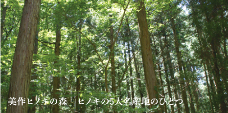 美作ヒノキの森　ヒノキの5大名産地のひとつ