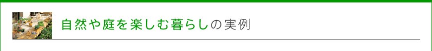 Ryޕ炵̎