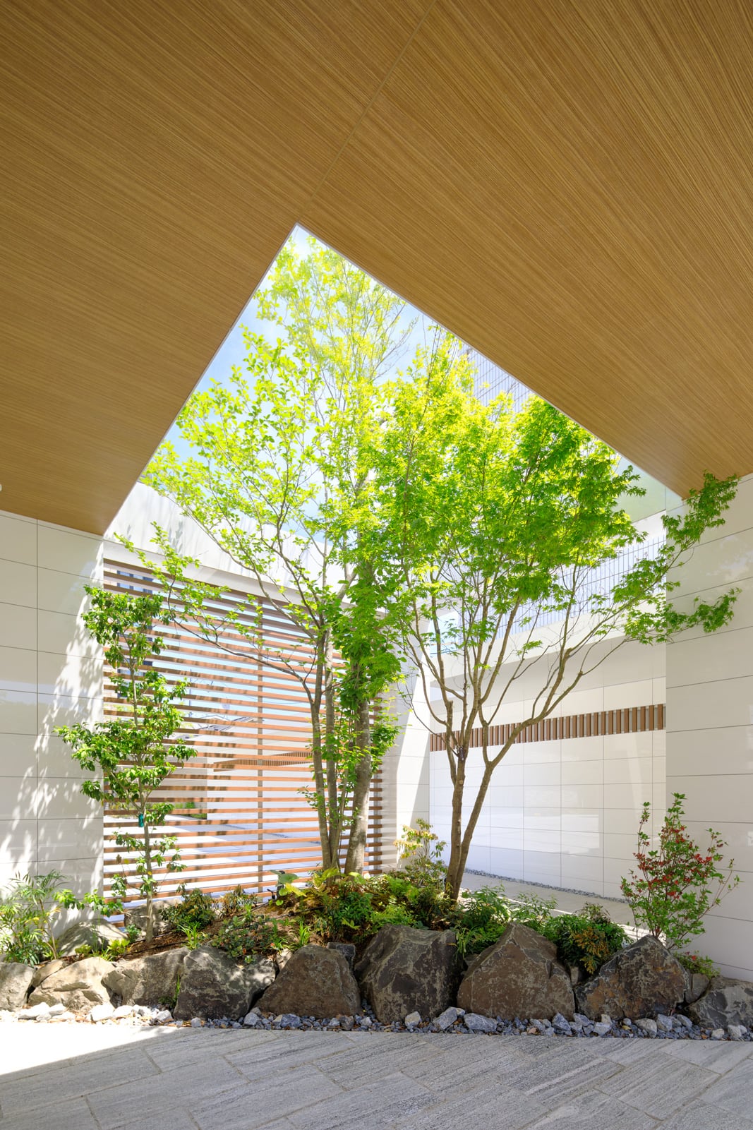 Shamaison Royal 上杉 ゲート 植栽 写真