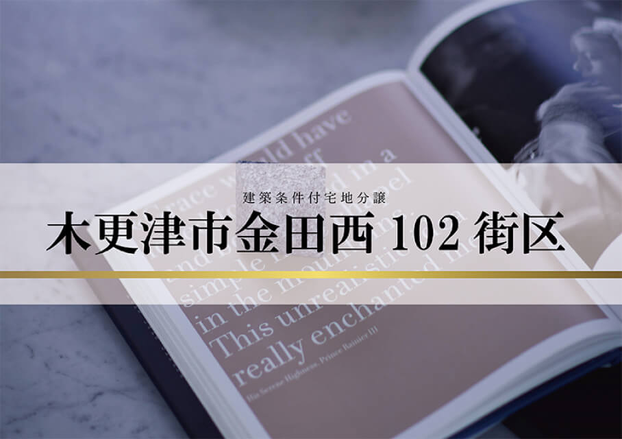 木更津市金田西102街区