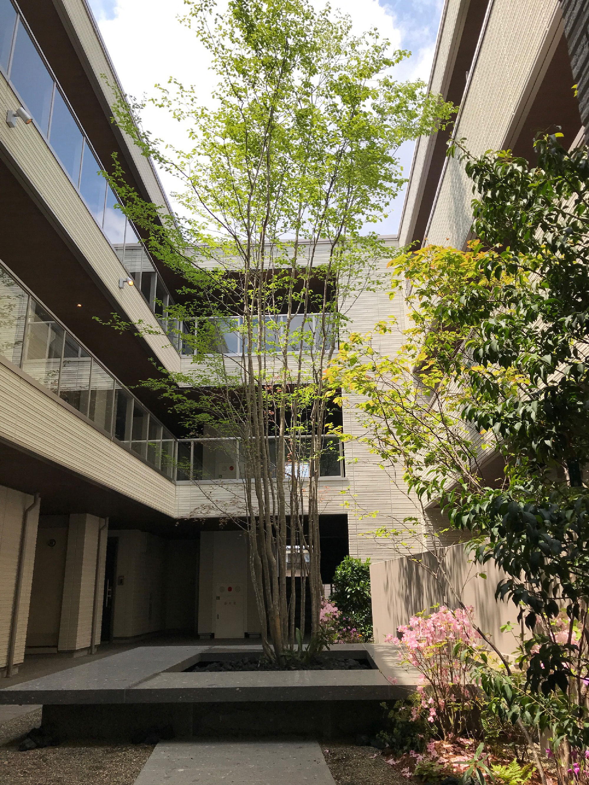 コンセプトのある庭が、感動や安らぎを演出。