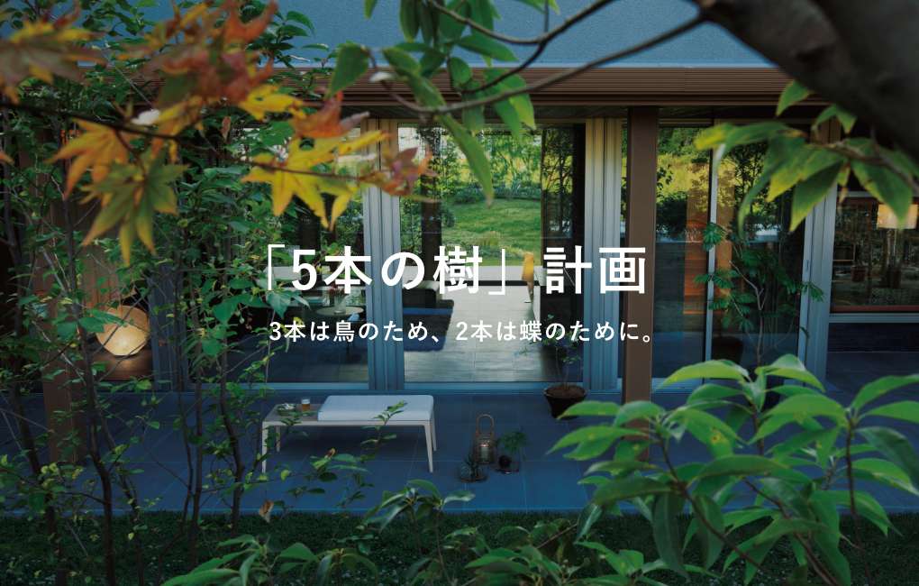 「5本の樹」計画  本は鳥のため、2本は蝶のために。
