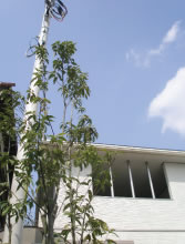 �A�͖L���ɂ���������O�\�v��