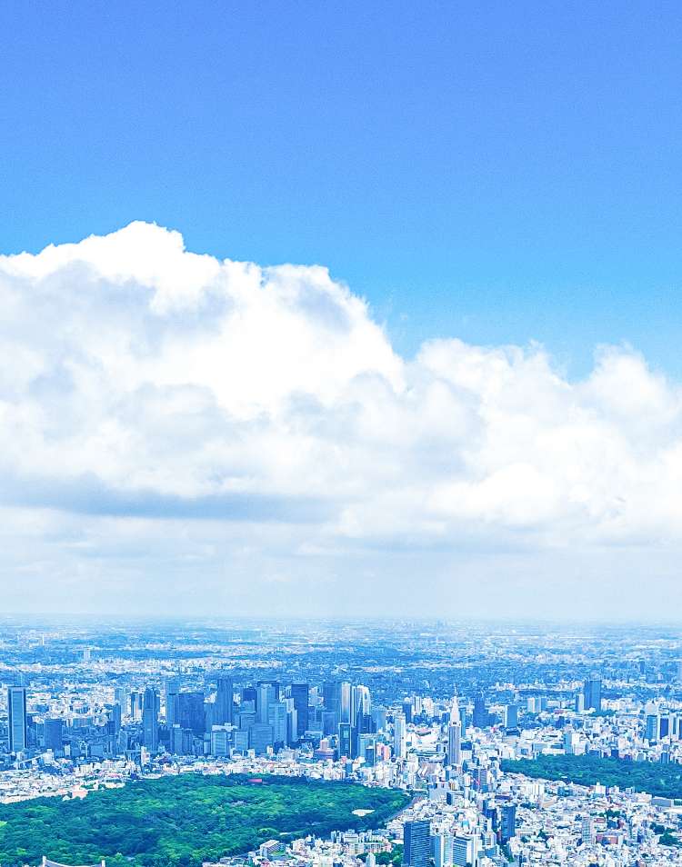 土地売買ソリューションのご提案 無料査定受付中