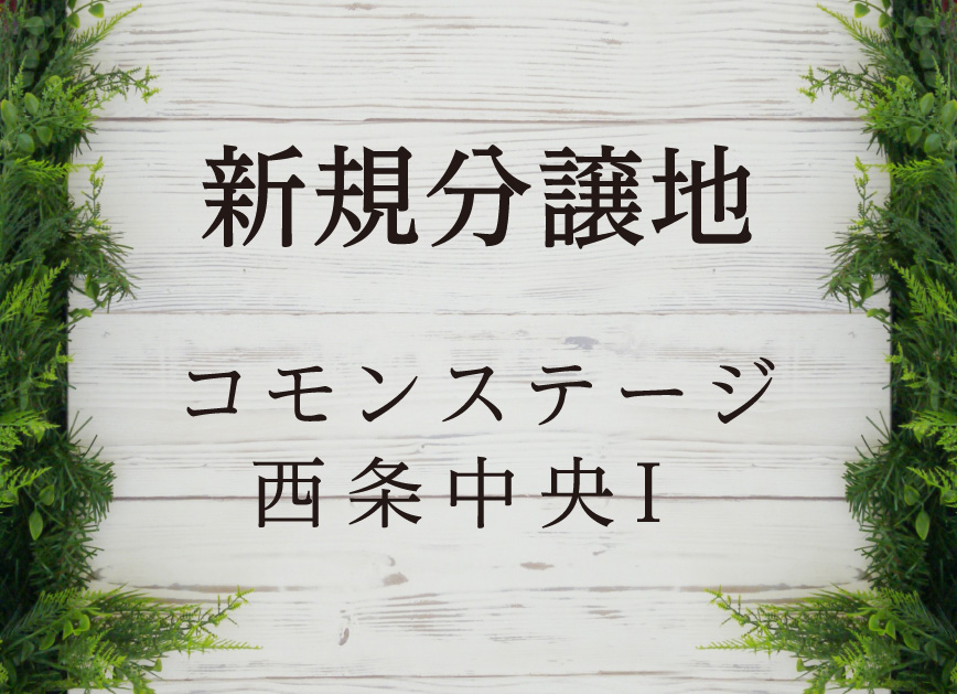 新規分譲地 コモンステージ西条中央I