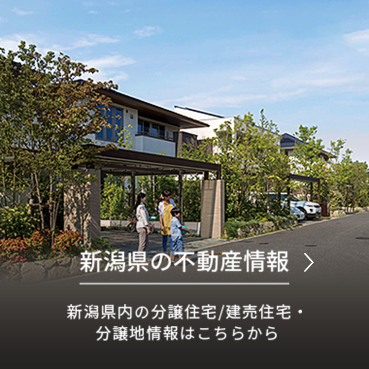 新潟県の不動産情報