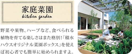 家庭菜園 野菜や果物、ハーブなど、食べられる植物を育てる楽しさはまた格別！「積水ハウスオリジナル菜園ボックス」を使えば初心者でも簡単に始められますよ。